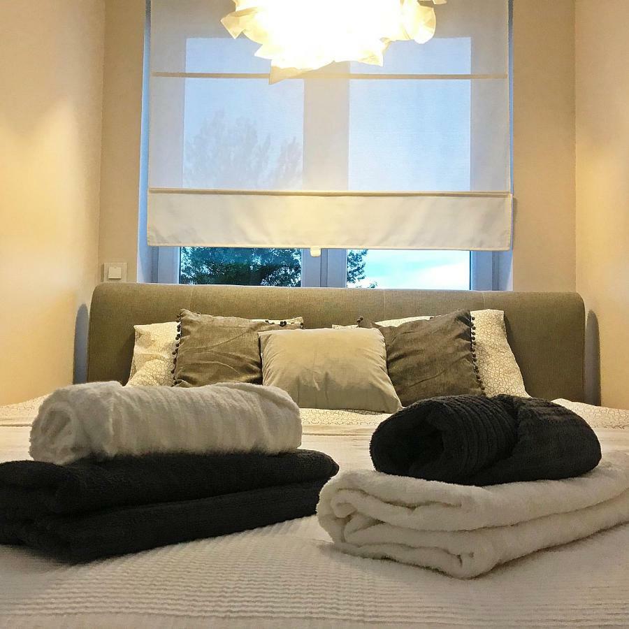 Pure Apartment Stary Toruń المظهر الخارجي الصورة